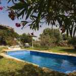 Piscine et terrasse
